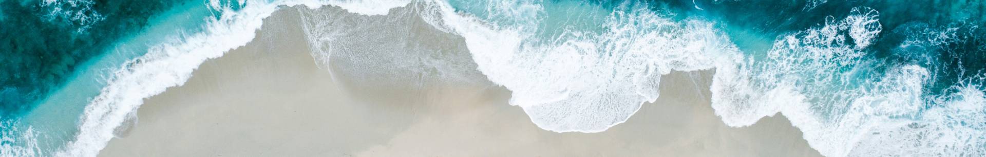 Photo by Shifaaz shamoon on Unsplash